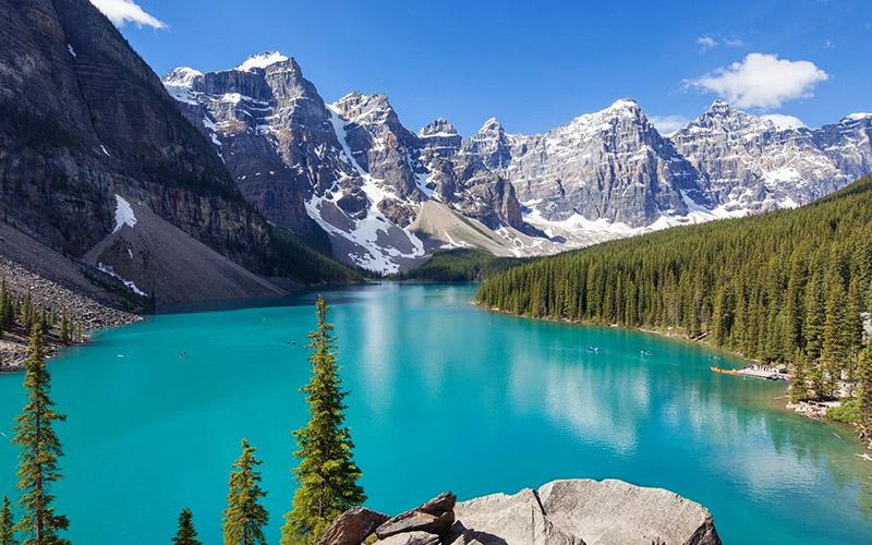 停止投資移民為啥？深度剖析停止投資移民背后的原因